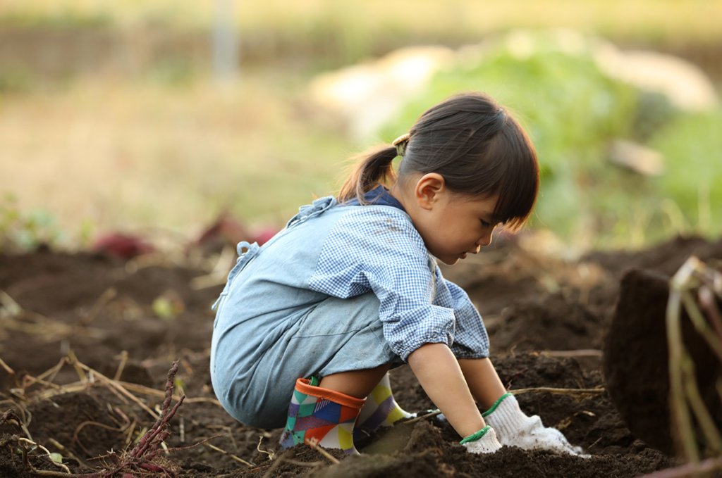 How Is the Agricultural Education Contest Organized?